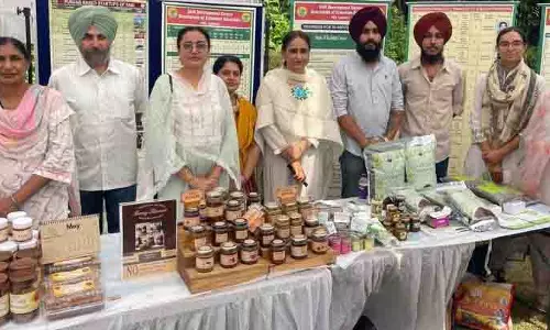 Ludhiana: राज्य के युवा कृषि उद्यमिता से कृषि परिदृश्य बदल रहे