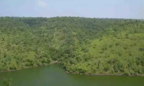 Polavaram-Banakacherla सुरंग नल्लामाला नाजुक पारिस्थितिकी तंत्र के लिए खतरा पैदा