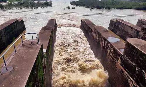 पोंग बांध में जलस्तर खतरे के निशान के करीब, BBMB 18,995 क्यूसेक पानी छोड़ेगा
