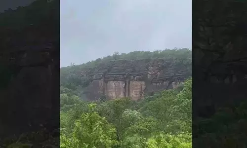 प्रकृति का उपहार, घर-घर गुट्टा