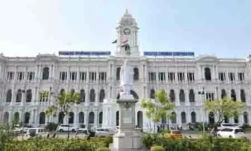 रेबीज़ से निपटने के लिए Chennai MC का 50 दिवसीय कुत्ता टीकाकरण अभियान 7 अगस्त से