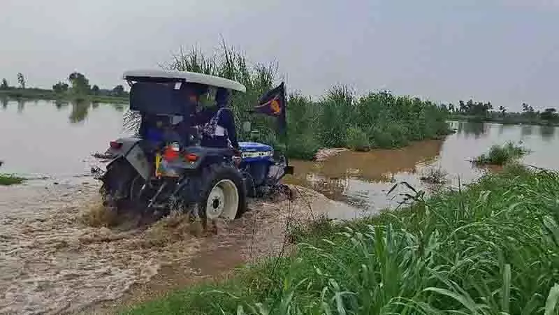 ब्यास नदी में उफान से Kapurthala की कृषि भूमि जलमग्न, धान उत्पादक नुकसान की आशंका में ब्यास नदी में उफान से Kapurthala की कृषि भूमि जलमग्न, धान उत्पादक नुकसान की आशंका में