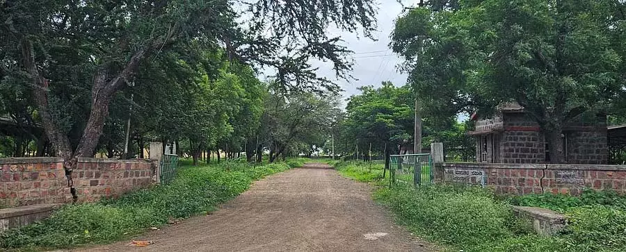 Mahalingpura : पशुशाला में सफ़ाई का अभाव Mahalingpura : पशुशाला में सफ़ाई का अभाव