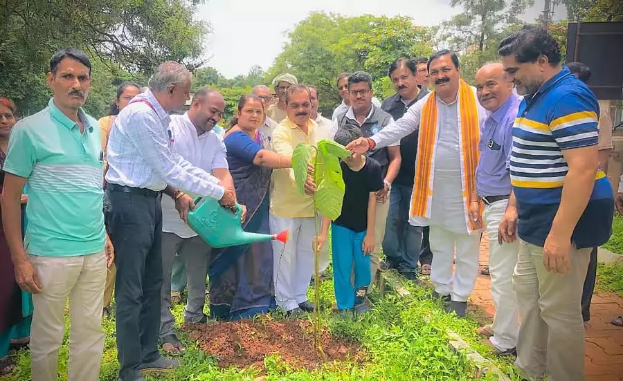 अपने लगाए पौधों का पोषण करें: विधायक तेंगिनाकाई अपने लगाए पौधों का पोषण करें: विधायक तेंगिनाकाई