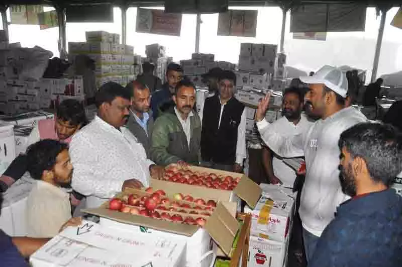सेब बाजार में कीमतों में भारी गिरावट, Himachal के उत्पादक चिंतित सेब बाजार में कीमतों में भारी गिरावट, Himachal के उत्पादक चिंतित