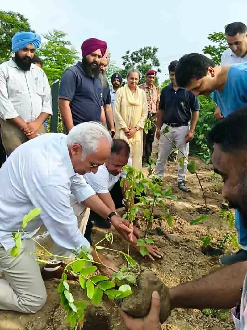 DMCH का पर्यावरण अभियान हरित विरासत में बदल गया DMCH का पर्यावरण अभियान हरित विरासत में बदल गया