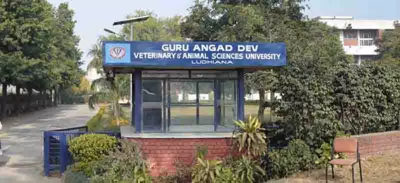 पशु चिकित्सा University के प्रशिक्षुओं ने मंत्री अमन अरोड़ा से मुलाकात की, वजीफा बढ़ाने की मांग की पशु चिकित्सा University के प्रशिक्षुओं ने मंत्री अमन अरोड़ा से मुलाकात की, वजीफा बढ़ाने की मांग की