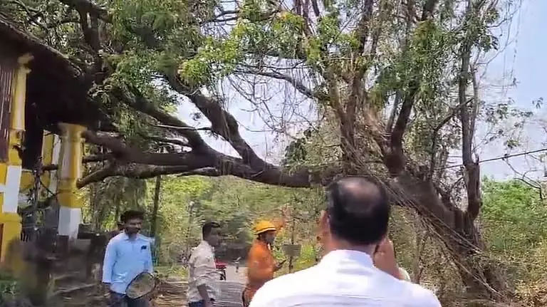 Chinchinim के ग्रामीणों ने बिजली कटौती की निंदा की, तत्काल कार्रवाई की मांग की Chinchinim के ग्रामीणों ने बिजली कटौती की निंदा की, तत्काल कार्रवाई की मांग की
