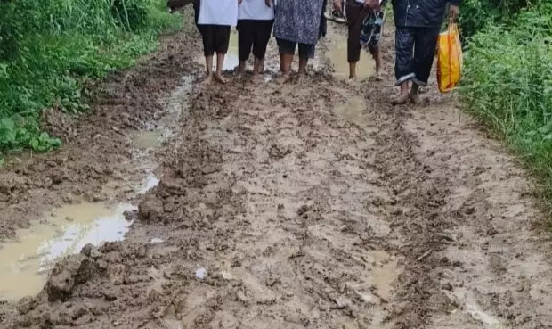 Farrukhabad: गंदगी से पटी सड़क बनी परेशानी, बच्चों की पढ़ाई पर असर Farrukhabad: गंदगी से पटी सड़क बनी परेशानी, बच्चों की पढ़ाई पर असर