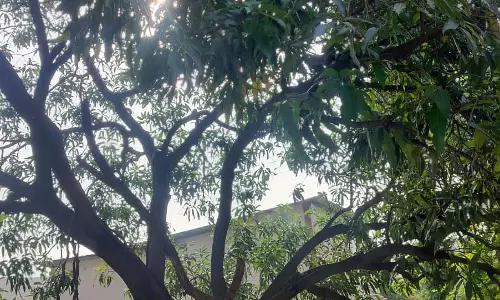 उमस से लोग परेशान, कल से थमी है बारिश
