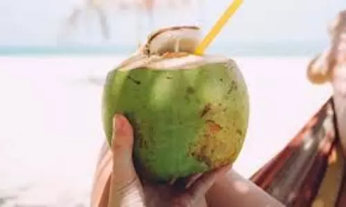 coconut water :जानें नारियल पानी कब पीना चाहिए, खाली पेट या नाश्ते के बाद coconut water :जानें नारियल पानी कब पीना चाहिए, खाली पेट या नाश्ते के बाद