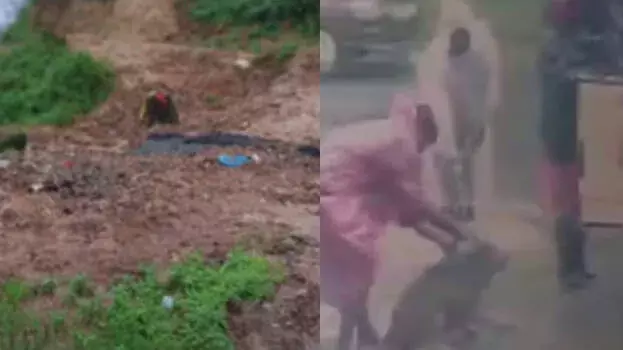 Kerala: निर्दोष जानवरों पर कहर, ज़िंदा दफ़न किए गए सैकड़ों आवारा कुत्ते