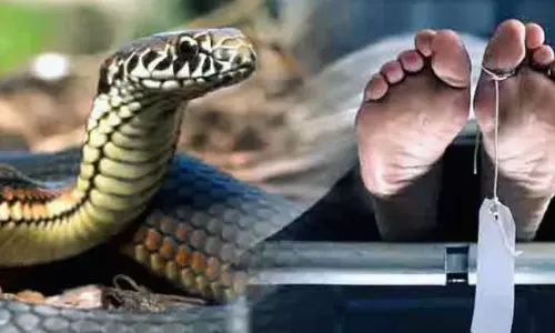 Ballia: सांप के काटने से युवक और महिला की जान गई