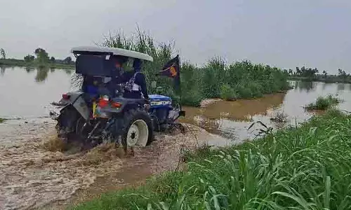 ब्यास नदी में उफान से Kapurthala की कृषि भूमि जलमग्न, धान उत्पादक नुकसान की आशंका में