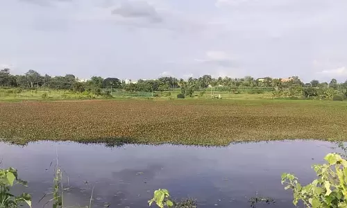 Harohalli : जक्कासंद्रा का होसाकेरे पानी प्रदूषित है Harohalli : जक्कासंद्रा का होसाकेरे पानी प्रदूषित है
