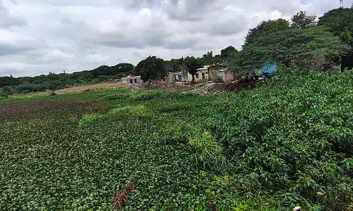 Karnataka : फ्रैंक एंड कंपनी लेक को एक दृष्टिकोण की आवश्यकता है