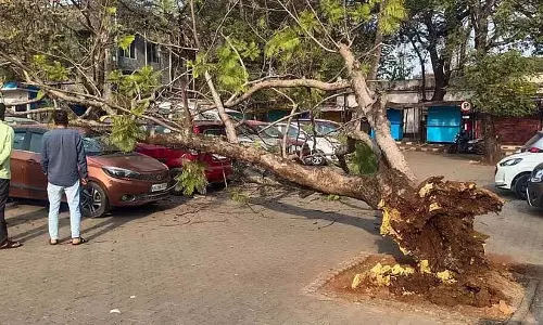 Belgaum : खतरनाक पेड़ों को हटाने का काम गति नहीं पकड़ रहा