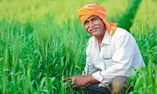 7 लाख किसानों को मिले पीएम सम्मान निधि के 147 करोड़ रुपये: Rajiv Bindal