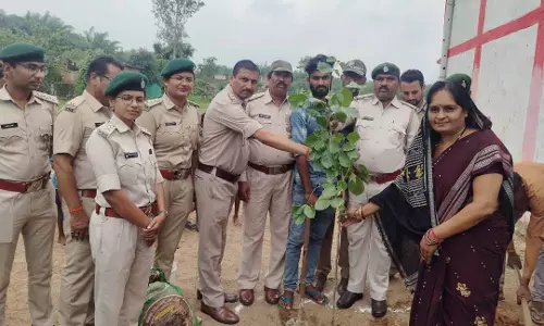 कुशभांठा में वन महोत्सव का हुआ आयोजन