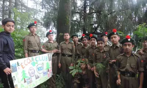 Shimla: स्कूल का वृक्षारोपण अभियान पर्यावरण संरक्षण के लिए प्रेरणा देता है