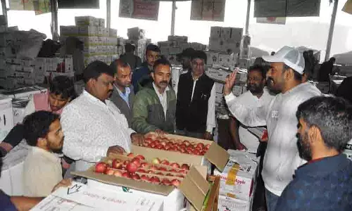 सेब बाजार में कीमतों में भारी गिरावट, Himachal के उत्पादक चिंतित सेब बाजार में कीमतों में भारी गिरावट, Himachal के उत्पादक चिंतित