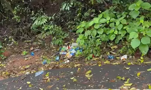 GOA: उपेक्षा ने बामनबुडो झरने को स्वास्थ्य के लिए खतरा बना दिया