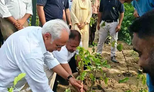 DMCH का पर्यावरण अभियान हरित विरासत में बदल गया