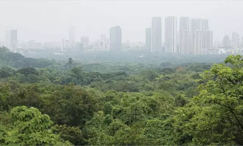 MMRC ने आरे मेट्रो से फिल्म सिटी होते हुए संजय गांधी राष्ट्रीय उद्यान तक रोपवे की योजना बनाई है MMRC ने आरे मेट्रो से फिल्म सिटी होते हुए संजय गांधी राष्ट्रीय उद्यान तक रोपवे की योजना बनाई है