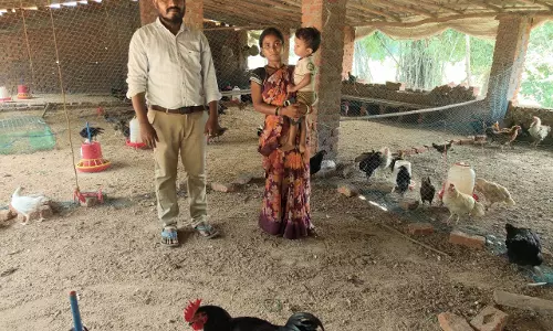 सरकार की पहल से दंपति को मिला नियमित रोजगार, हर माह हो रही 40 हजार तक की आमदनी