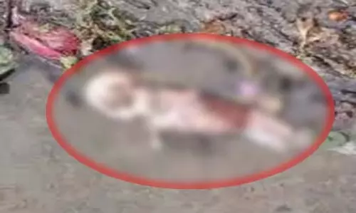 CG BREAKING: पनखत्ति तालाब में मिला मानव भ्रूण, गांव में फैली सनसनी