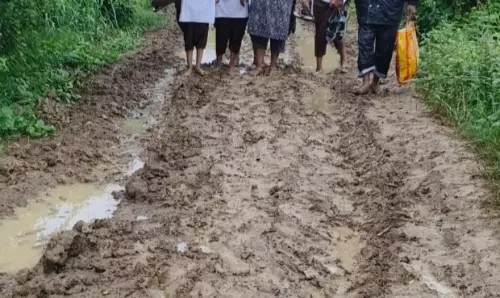 Farrukhabad: गंदगी से पटी सड़क बनी परेशानी, बच्चों की पढ़ाई पर असर Farrukhabad: गंदगी से पटी सड़क बनी परेशानी, बच्चों की पढ़ाई पर असर
