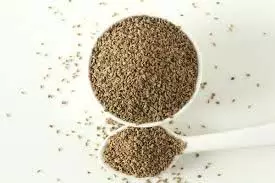 Health: गुनगुने पानी के साथ खाएं अजवाइन, मिलेंगे ये कमाल के स्वास्थ्य लाभ Health: गुनगुने पानी के साथ खाएं अजवाइन, मिलेंगे ये कमाल के स्वास्थ्य लाभ