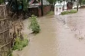 Bihar Weather: कोसी, गंडक और बागमती के उफान पर होने से बाढ़ का खतरा Bihar Weather: कोसी, गंडक और बागमती के उफान पर होने से बाढ़ का खतरा