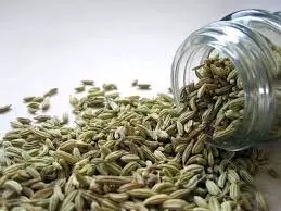 Health: सुबह खाली पेट पिएं इन बीजों का पानी, जल्द दिखेगा फायदा Health: सुबह खाली पेट पिएं इन बीजों का पानी, जल्द दिखेगा फायदा