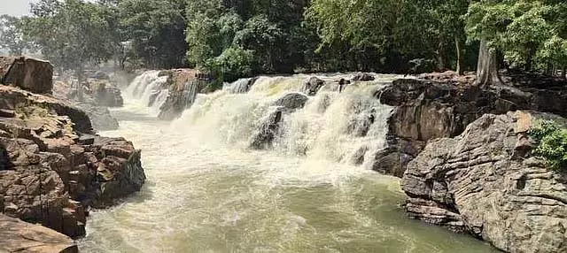 Tamil Nadu : ओकेनाक्कल में जल प्रवाह घटकर 9,500 घन फीट रह गया Tamil Nadu : ओकेनाक्कल में जल प्रवाह घटकर 9,500 घन फीट रह गया