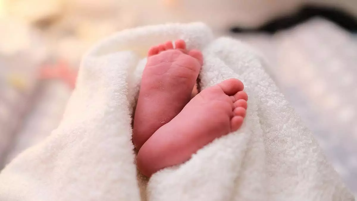 एंटॉप हिल नाले में नवजात का शव मिला; पुलिस ने BNS एक्ट के तहत मामला दर्ज किया एंटॉप हिल नाले में नवजात का शव मिला; पुलिस ने BNS एक्ट के तहत मामला दर्ज किया