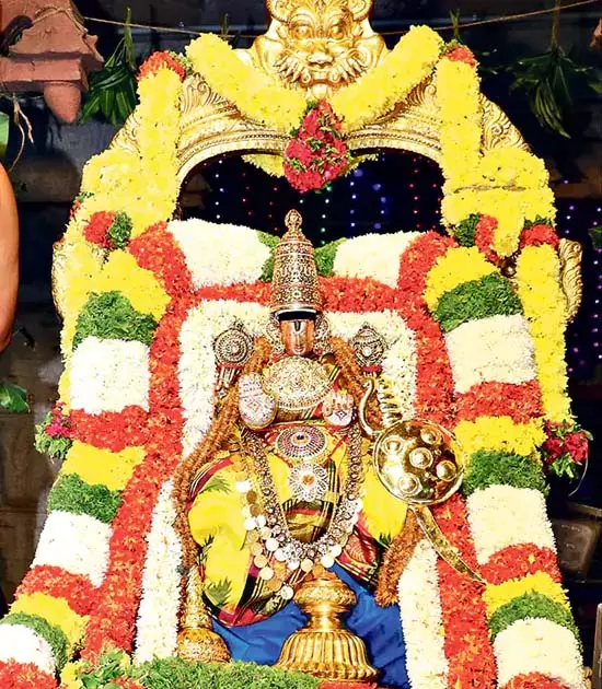 श्रीवारी पवित्रोत्सव समारोह के लिए वैज्ञानिक रूप से प्रेरित पौधों की पेशकश श्रीवारी पवित्रोत्सव समारोह के लिए वैज्ञानिक रूप से प्रेरित पौधों की पेशकश