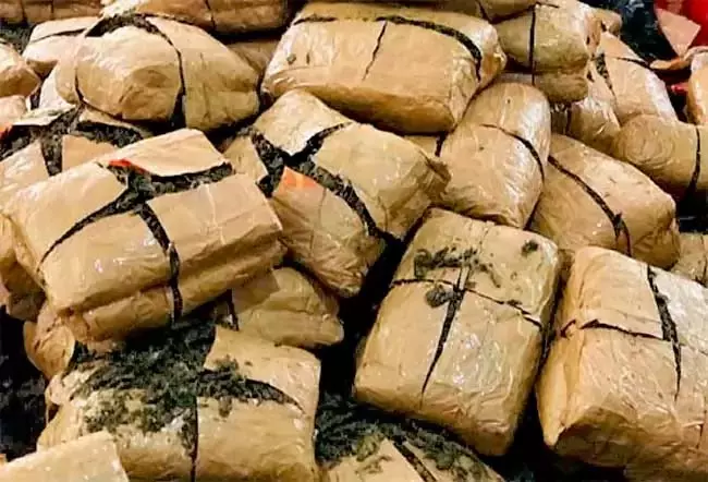 Hyderabad : मारिजुआना की आपूर्ति करने वाला अंतरराज्यीय गिरोह गिरफ्तार Hyderabad : मारिजुआना की आपूर्ति करने वाला अंतरराज्यीय गिरोह गिरफ्तार