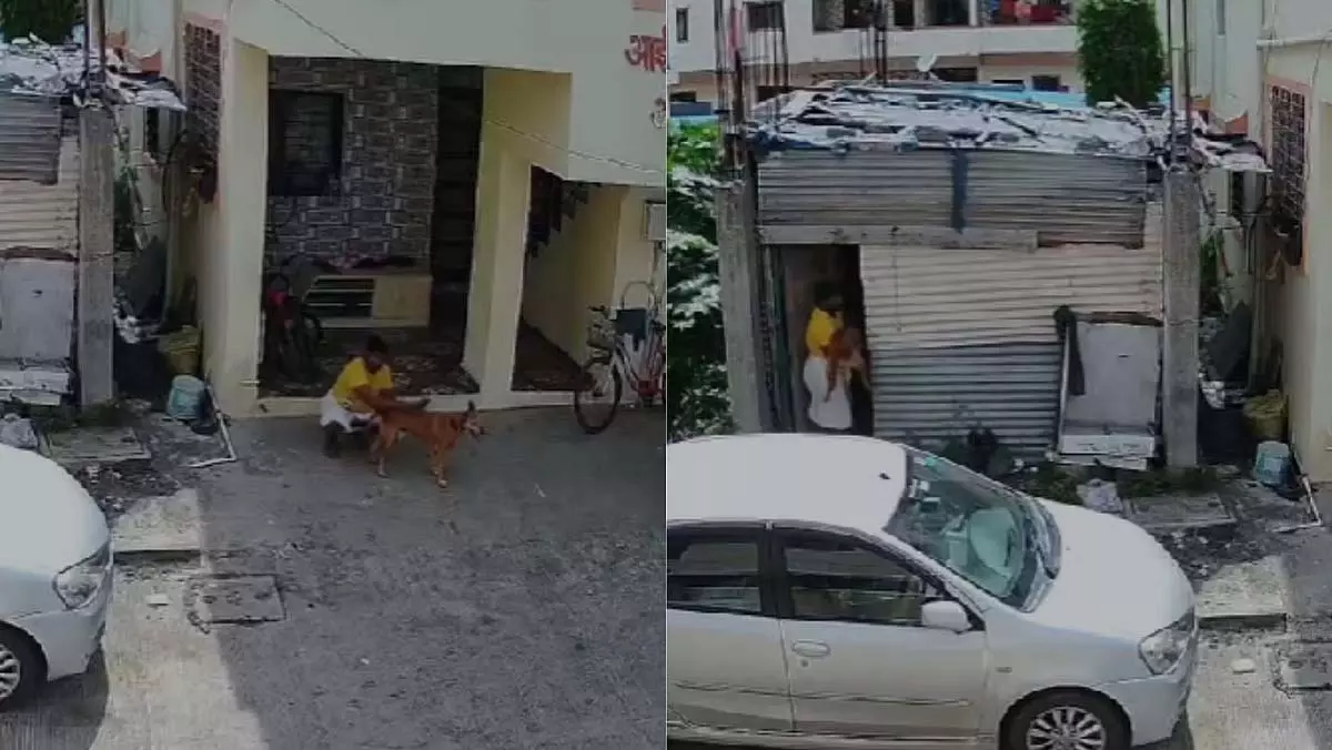 पुणे के टिंगरे नगर में व्यक्ति पर पशु क्रूरता का संगीन आरोप पुणे के टिंगरे नगर में व्यक्ति पर पशु क्रूरता का संगीन आरोप