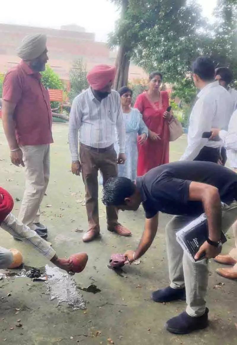 Ludhiana: डेंगू के मामलों में कमी के बावजूद स्कूलों और घरों में लार्वा पाया गया Ludhiana: डेंगू के मामलों में कमी के बावजूद स्कूलों और घरों में लार्वा पाया गया