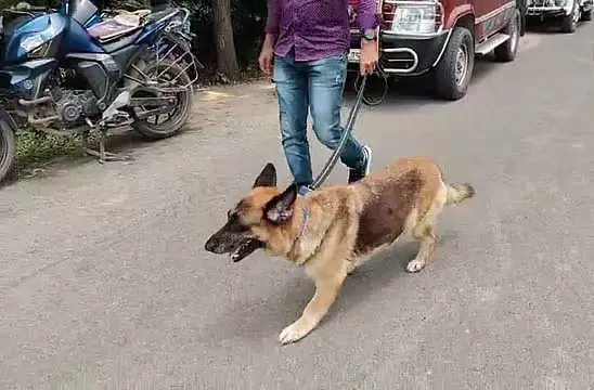 अशोकनगर के जंगल में गला रेतकर मिली लाश का मामला अब भी रहस्य अशोकनगर के जंगल में गला रेतकर मिली लाश का मामला अब भी रहस्य