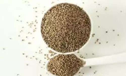 Health: गुनगुने पानी के साथ खाएं अजवाइन, मिलेंगे ये कमाल के स्वास्थ्य लाभ Health: गुनगुने पानी के साथ खाएं अजवाइन, मिलेंगे ये कमाल के स्वास्थ्य लाभ