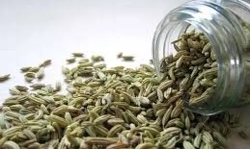 Health: सुबह खाली पेट पिएं इन बीजों का पानी, जल्द दिखेगा फायदा Health: सुबह खाली पेट पिएं इन बीजों का पानी, जल्द दिखेगा फायदा