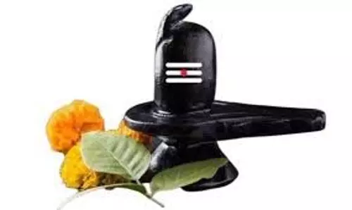 Bilva Patra: भगवान शिव को क्यों प्रिय है बिल्वपत्र ? जानें धार्मिक मान्यता Bilva Patra: भगवान शिव को क्यों प्रिय है बिल्वपत्र ? जानें धार्मिक मान्यता