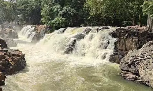 Tamil Nadu : ओकेनाक्कल में जल प्रवाह घटकर 9,500 घन फीट रह गया Tamil Nadu : ओकेनाक्कल में जल प्रवाह घटकर 9,500 घन फीट रह गया