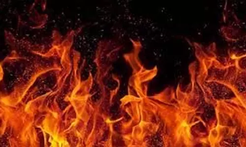 Shahdol: शॉपिंग कॉम्प्लेक्स में भीषण आग, कई लोगों के फंसे होने की आशंका