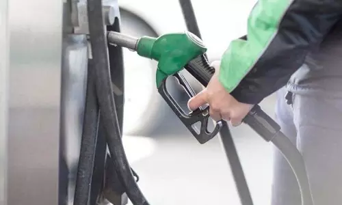 E20 पेट्रोल से ईंधन दक्षता बनी रहे, इंजन प्रदर्शन बेहतर: पेट्रोलियम मंत्रालय