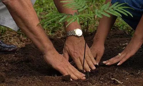 MP : विधानसभा अध्यक्ष नरेंद्र सिंह तोमर ने कहा, पौधारोपण को अपना कर्तव्य समझें MP : विधानसभा अध्यक्ष नरेंद्र सिंह तोमर ने कहा, पौधारोपण को अपना कर्तव्य समझें