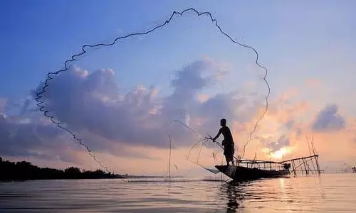 Maharashtra : मत्स्य मंत्रालय द्वारा प्रतिबंध हटाए जाने के बाद रायगढ़ के मछुआरों को कर-मुक्त डीजल मिलेगा Maharashtra : मत्स्य मंत्रालय द्वारा प्रतिबंध हटाए जाने के बाद रायगढ़ के मछुआरों को कर-मुक्त डीजल मिलेगा