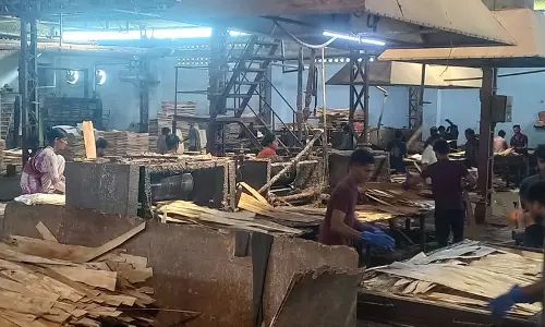 यमुनानगर के प्लाइवुड निर्माताओं की नजर उत्तर प्रदेश में बेहतर प्रदर्शन पर